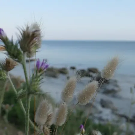 La Parentheizh - Petit Toit Douillet En Bord De Mer